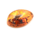 Fashion Insect Stone Scorpions Inclusion Amber Baltic Pendant Necklace Gift 3C