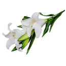 Artificial Flower Plastic Fabric Lily Deco for House Office white W7M7