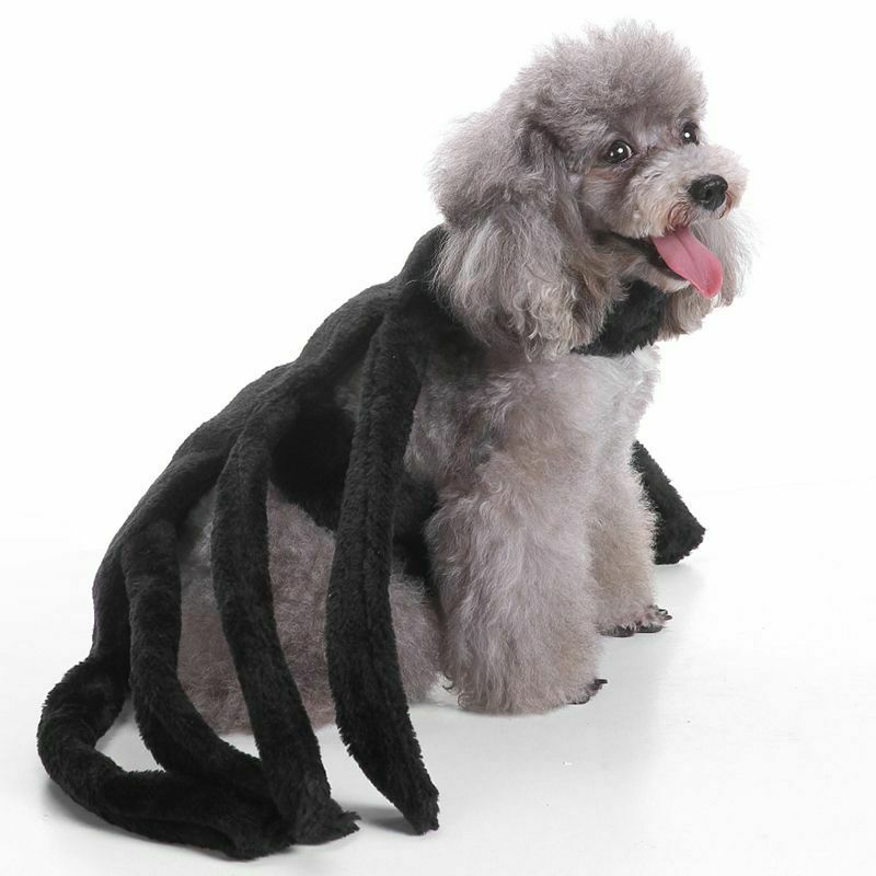 Halloween Pet Dog Costume Clothes Big Spider Costume Clothes For Dogs Chihu P9K6