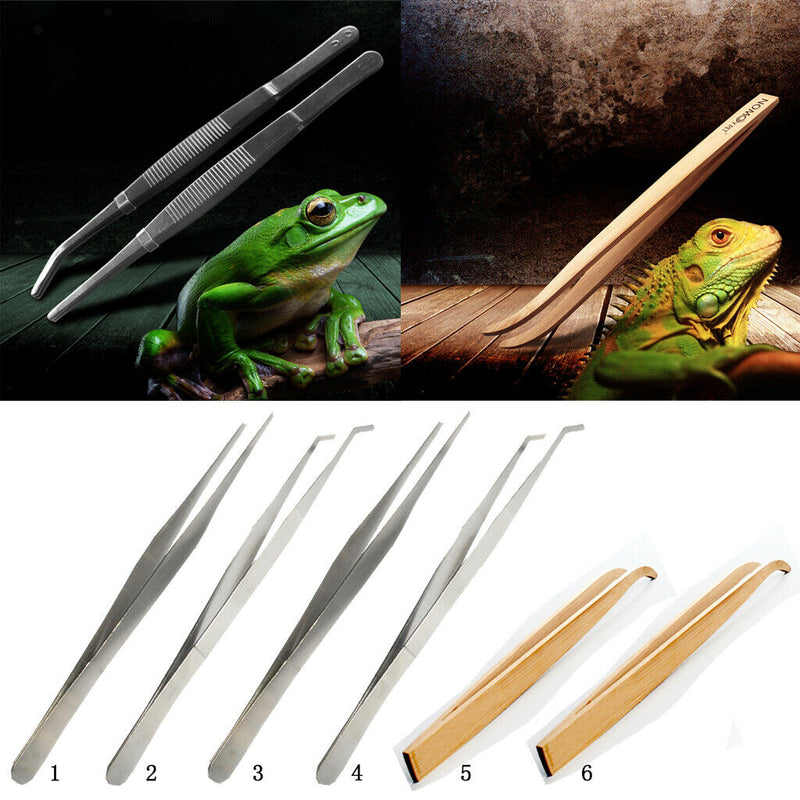 Straight 20cm Small Animal Feeding Tweezers Tongs Forceps