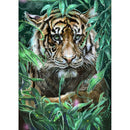 5D DIY Full Drill Diamond Painting Tiger Embroidery Mosaic Kits (wll893)