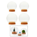 4Pcs Clear Glass Ball Shaped Cover Glass Cloche Globe Succulent Terrarium Bottle