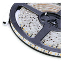 5m SMD 2835 600 LED 12V 72W 7500LM IP65 Dust Density Sealed Cool White LED