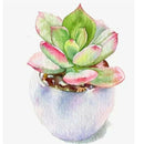 5D Diamond Painting Succulent Plant DIY Full Drill Cross Stitch Decor (376)