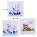 Set 3 Creative Art Oil Painting Canvas Picture Dog Cat Home Decor 40x40cm