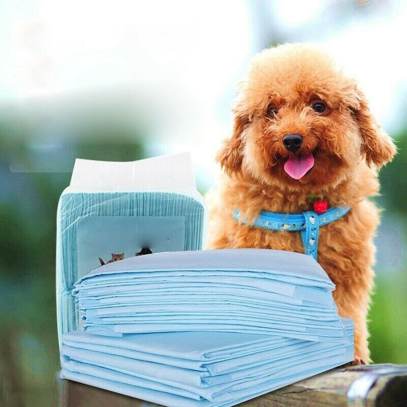 20PCS Multi - Size Pet Diaper Pet Dog Super Absorbent Urine Training Pad De