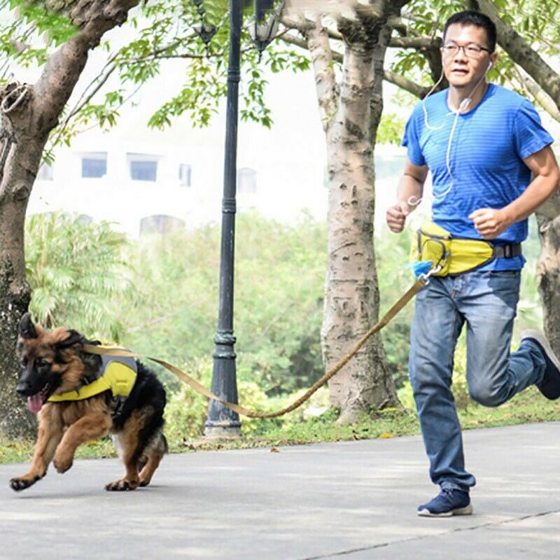 Outdoor Pet Training Pockets High-Quality Nylon Breathable Pet Snack Packs  E2M2