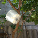Bee Tools Hornet Trapper Fly Bug Catching Traps Wasp Catcher Hanging On Tre