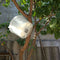 Bee Tools Hornet Trapper Fly Bug Catching Traps Wasp Catcher Hanging On Tre