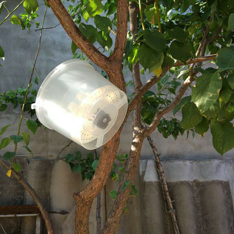 Bee Tools Hornet Trapper Fly Bug Catching Traps Wasp Catcher Hanging On Tre