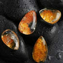 Ghost Phantom Stone Quartz Healing Gems Pendant Crystal Specimens Mi Yellow F8E5