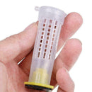 10 PCS Beekeeping Rearing Cup Kit Queen Bee Cages Beekeeper Equipment Tools New