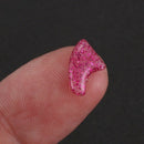 20 pcs Soft Nail Caps For Cat Pet Claw Control Paws off + Adhesive Glue Wit Y6C9