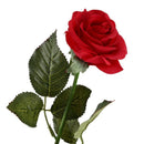 10 pcs Latex Real Touch Rose Decor Rose Artificial Flowers Silk Flowers Flo