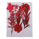 6 Kinds Pressed Press Dried Flower Real Dried Flower Plant Specimen For