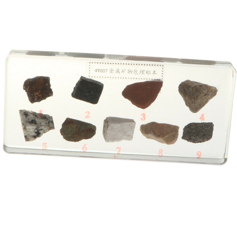 Real Rock And Mineral Geology Science Specimen Paperweight Collectible Gift