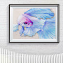 5D DIY Full Drill Diamond Painting Fish Embroidery Mosaic Kits Home Decor
