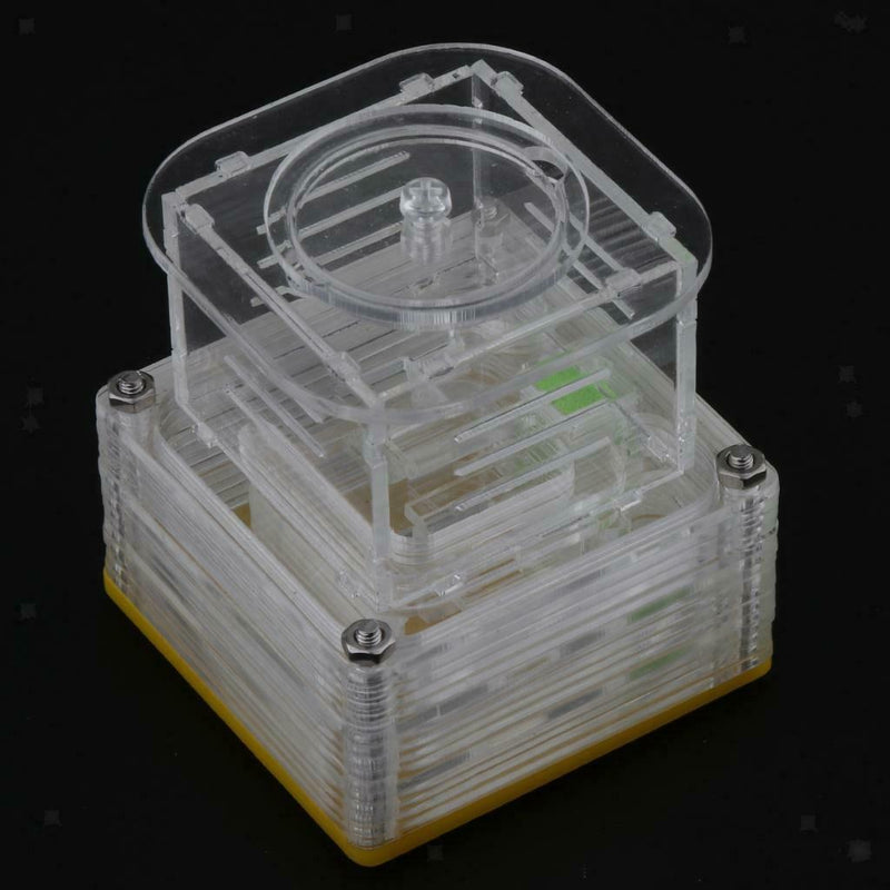 Clear Ant Feeding Nursery Box Ant Farm House Castle Insect Terrarium  S