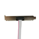 1 Port 28cm DB9 Serial Port Bracket to 10 Pin Header - Low Profile (PLATE 9 R9Y4