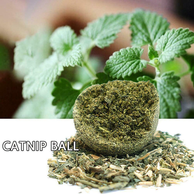 Cat Snack Catnip Ball Lick Solid Nutrition Ball Molar Cleaning Cat Snacks