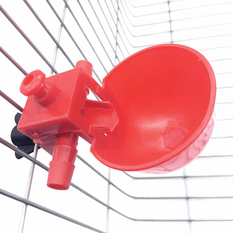 5pcs Coop Feed Automatic Poultry Water Drinking Cups Chicken Fowl Drinker Dwly