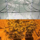 1x Garden Green Nylon Trellis Netting Support Climbing Bean Plant Net Gr BOV