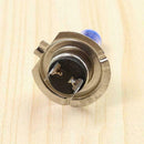 H7 100W 8500 K Xenon Lamp Verbergen Super Koplamp Wit Gloeilampen Lampen Ef B3L2