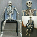 Halloween Poseable Human Jointed Skeleton Full Life Size Props Party Decoration