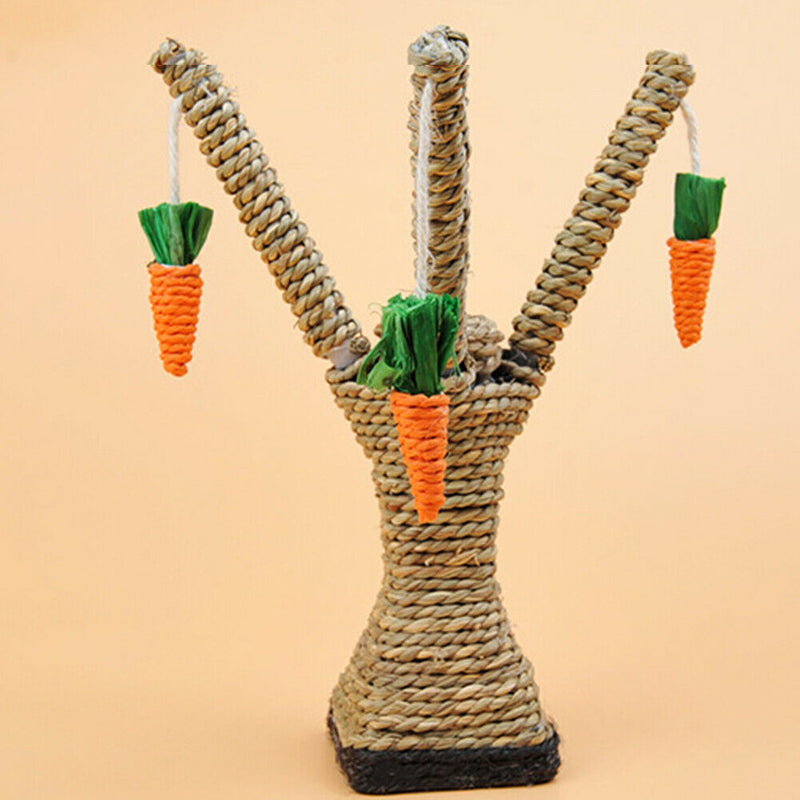 Cat Climbing Frame Funny Kitten Teeth Care Tower Shelves Scratching Post Carrot