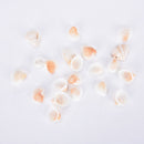 20X Natural White Shells Decorations Mini Nautical Crafts Aquarium Ornaments3C