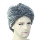Men Short Hair Wigs for Men Wig Natural Looking Wig