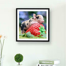 Diamond Painting Baby Pig Sleep on Strawberry Cross Stitch Embroidery Decor