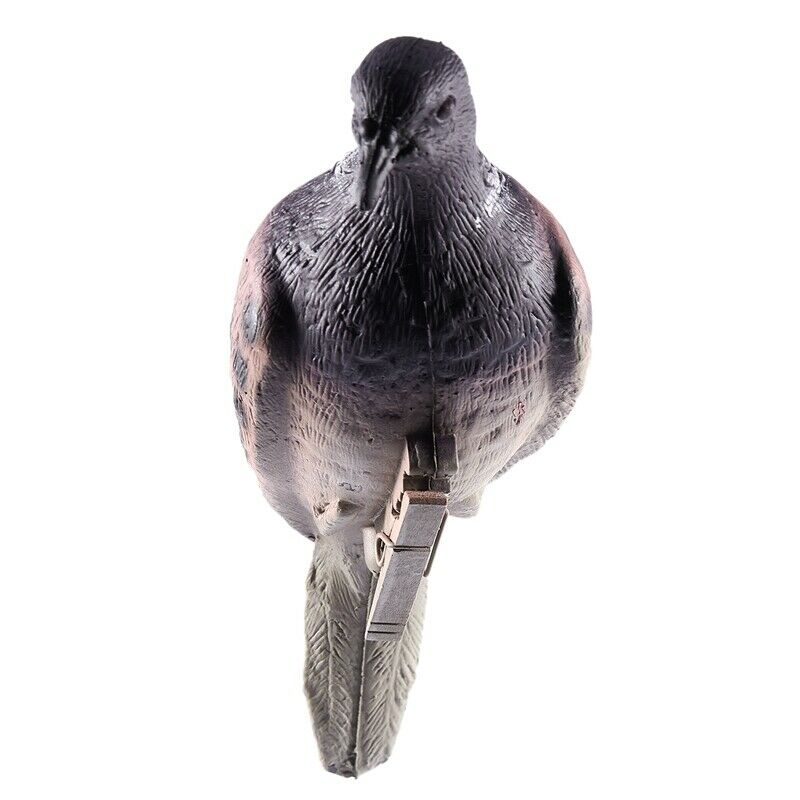 1PC Hunting Dove Scare Protect Garden Pigeon Decoy Bionic Animal Bait Outdo