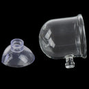 Pinhole Pot Plant Feeding Cup Holder Shrimp Aquarium Fish Tank Aquatic Feeder FT