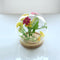 Glass Display Cloche Bell Jar Dome Flower Vase & Wooden Base 15cmx14cm (DXH)