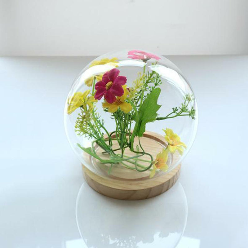 Glass Display Cloche Bell Jar Dome Flower Vase & Wooden Base 15cmx14cm (DXH)