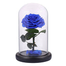 Glass Cover Fresh Preserved Rose Flower Barbed Rose Flores For Wedding Marr