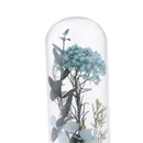 16cm Enhanced Dried Flower Glass Cover Display Cloche Jar Dome Wooden Base c