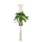 Plant Hangers Indoor Wall Hanging Planter Holder Basket Flower Pot Holder H