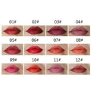 QiBest Black Rod Waterproof 12 Color Lip Liner Pen Lasting Lip Matte Lipsti