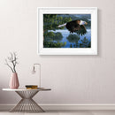 5D DIY Full Drill Diamond Painting Eagle Cross Stitch Embroidery (C1184)