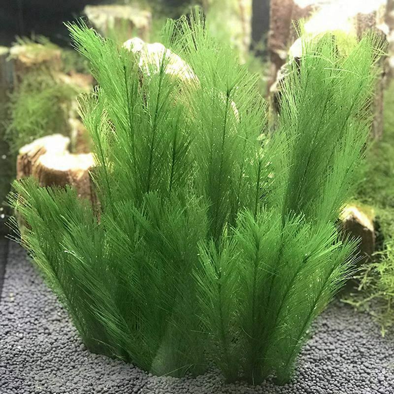 Aquarium Decorations Fish Tank Artificial Green Water Plants Made Of Silk F H7C4