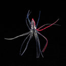 4g/12cm Soft Octopus Fishing Lure Hollow Squid Skirt Bait Fishing Tackle