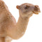 2Pcs Wild Animals Figures Camel Giraffe Playset Home Garden Ornaments Kids