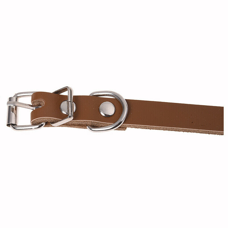 Leather collar for dogs cats puppy animal XS Brown