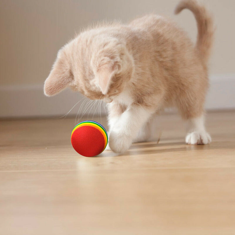 Pet Chewing Toys for Small Cat Dog EVA Scratching Rainbow Ball (10pcs S)