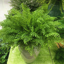 Artificial Plastic Fern Leaves 7 Branches Plant Flower for Home Decor 45cm