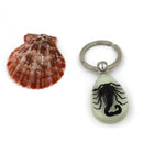 Glow-In-The-Dark Real Insect Keychain (Black Scorpion)
