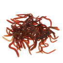 50 Pieces Brown Bionics Lifelike Soft Earthworm Artificial Bait simulation Vivid
