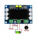 TPA3116D2 100W Mono Channel Power Audio Digital Amplifier Board Module 100db